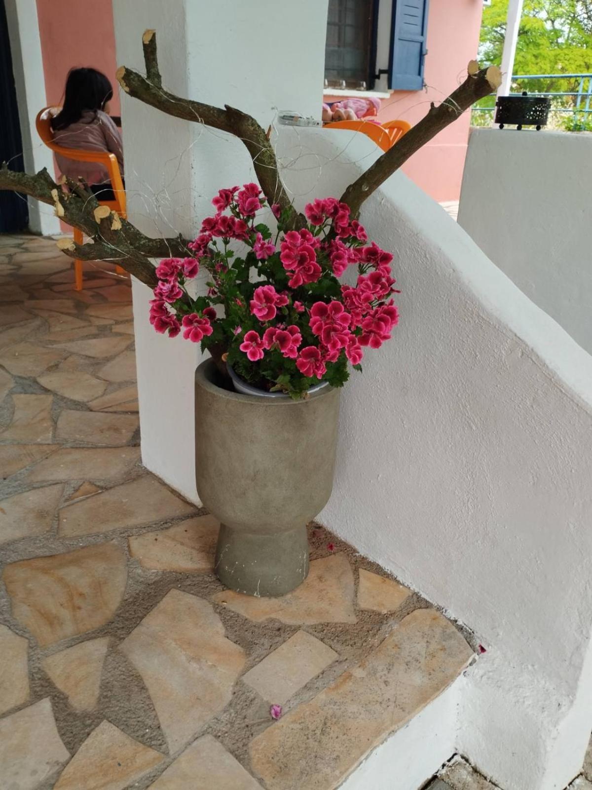 Floras House Διαμέρισμα Ναύπλιο Εξωτερικό φωτογραφία