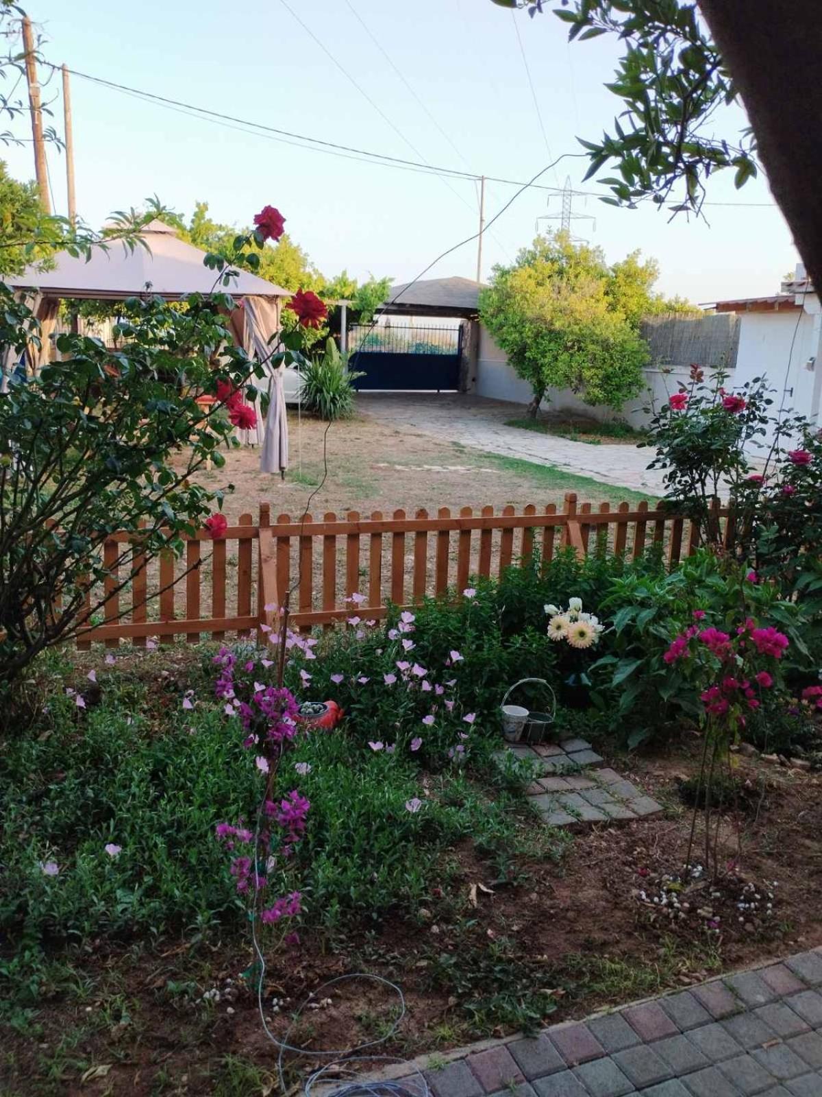 Floras House Διαμέρισμα Ναύπλιο Εξωτερικό φωτογραφία